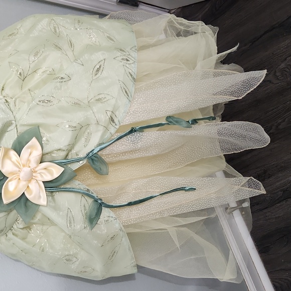 Tiana dress up dress - Picture 5 of 8